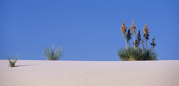 White Sands National Monument