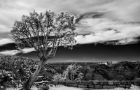 Grand Canyon National Park