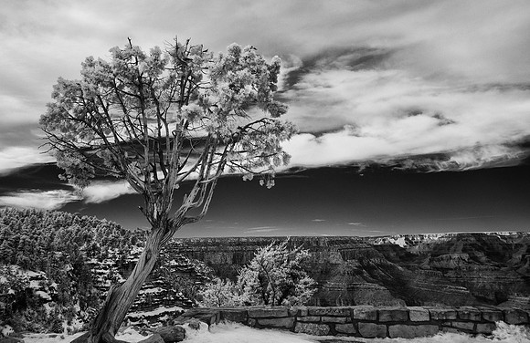 Grand Canyon National Park