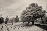 Vicksburg Cemetery