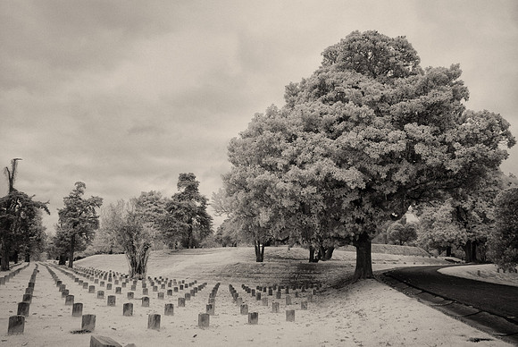 Vicksburg Cemetery