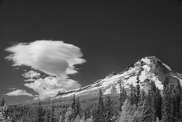 Mount Hood, Oregon