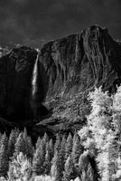 Infrared Landscapes