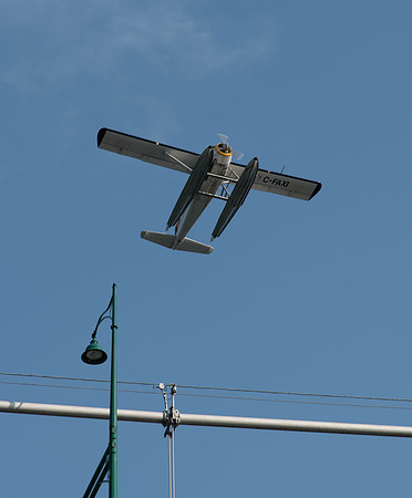 _DSC0332