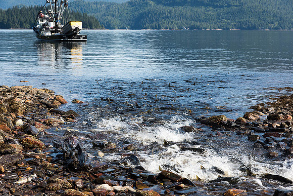_DSC0385