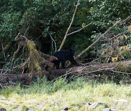 _DSC0389