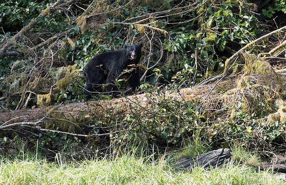 _DSC0391