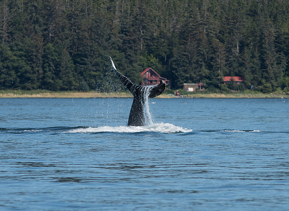 _DSC0604