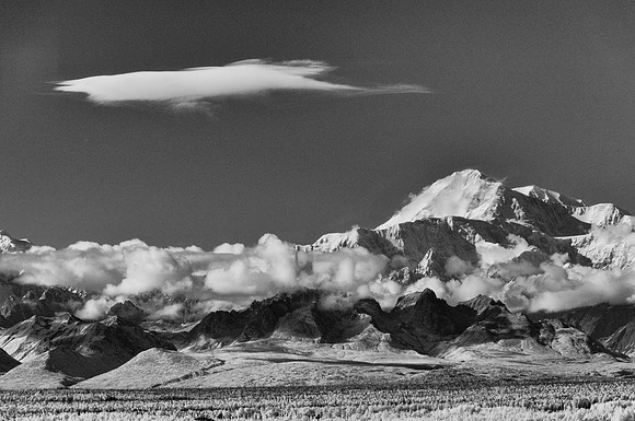 _DSC6114