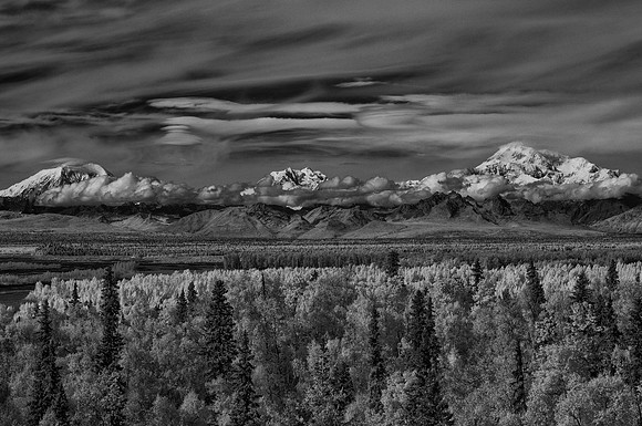 _DSC6147