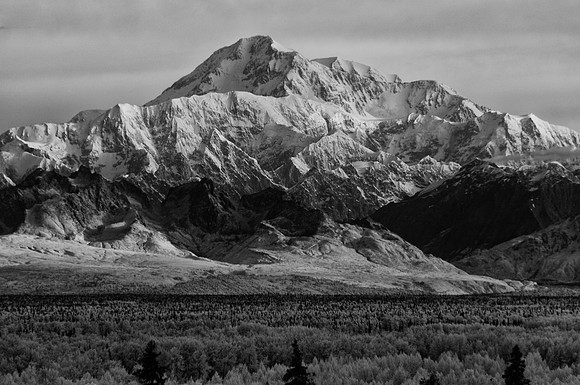 _DSC6155