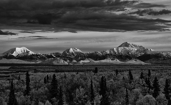 _DSC6156