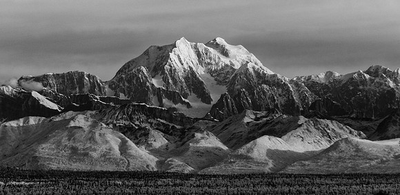 _DSC6160