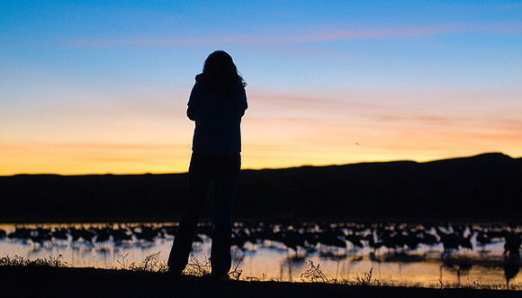 Fading Color, Fading Light, With My Friend Nicole