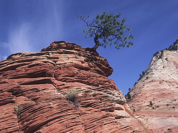 Zion National Park