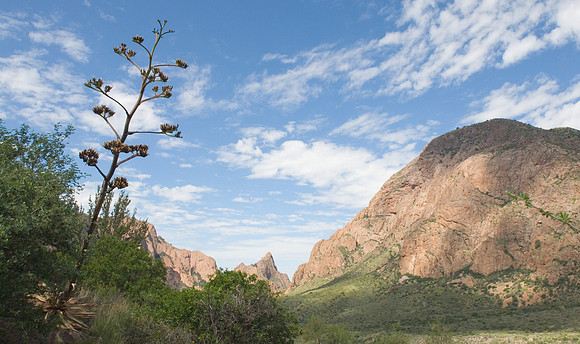 Big Bend National Park